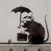 もっちぃの画像
