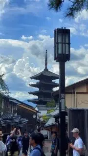 ぬこの画像