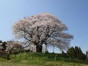 もっち☆24時間以内発送・匿名配送の画像