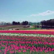 Sakichanの画像
