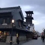 ナノハナの画像