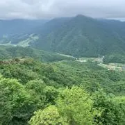 しこ