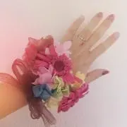 pineの画像
