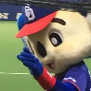 赤亀