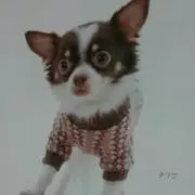 ガチャ