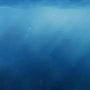 あまみの画像