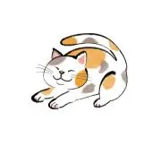 ねこやま@フォロバ100%の画像