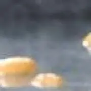 ろっこん