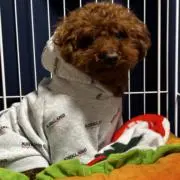 あみ☆プロフ必読!!
