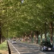 IZUMIの画像