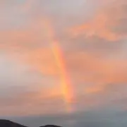 ここ