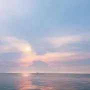 かの画像