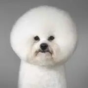 ウトムヌカラ