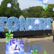 のーさん初心者　(若葉)
