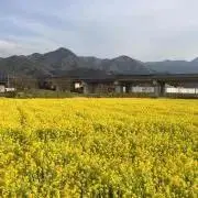 ミートソースの画像