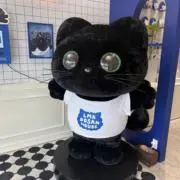 うぉんの画像