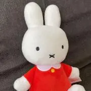 のんの画像