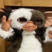 Norry