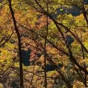 さあ
