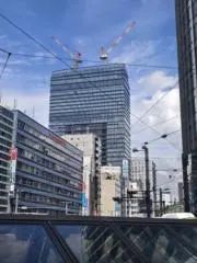 なぎの画像