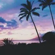やしの画像