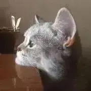 ruiの画像