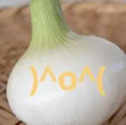 玉ねぎの画像