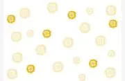 みかん☆
