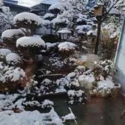 Image of 裕次郎