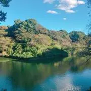 とらの画像