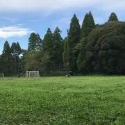 ぷんぷん