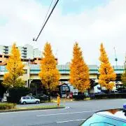 otikaの画像