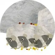 フラミンゴの画像