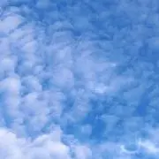 かなの画像
