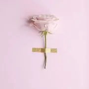 Yの画像