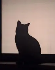 Booの画像