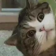 昭和騎士