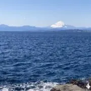 りゅの画像