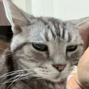 だいみょんの画像