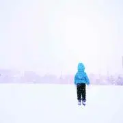 きんぞうの画像