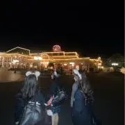 るりの画像