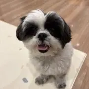 ゆっぽの画像