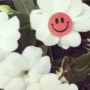 ぽぬ☺︎の画像