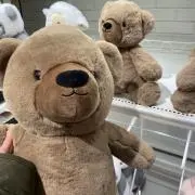 ぽんぽんちゃんの画像