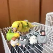 ゆうき