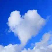 ニコ ¨̮⃝の画像