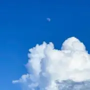 ぴーたろの画像