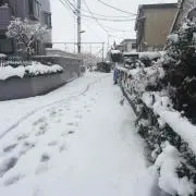 やまやま