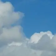 Suziの画像
