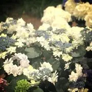 YCKの画像